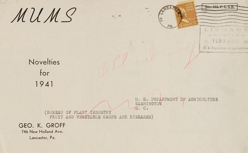 Mums, novelties for 1941