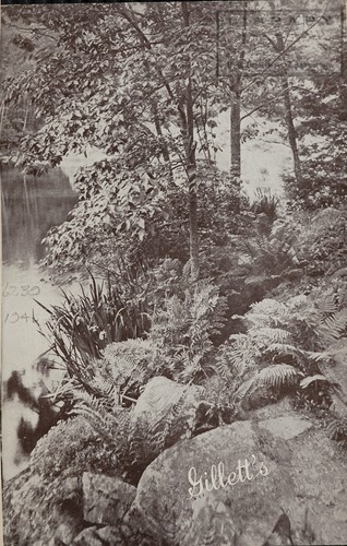 Gillett Fern and Flower Farm, Inc., 1878-1941