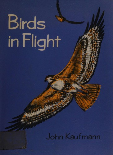 Birds in flight