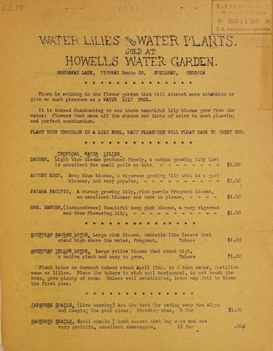 Water lilies and water plants sold at Howells Water Garden