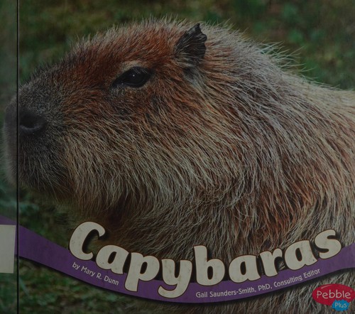 Capybaras