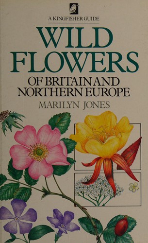 Wild Flowers