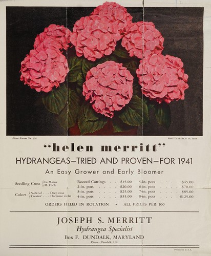 "Helen merritt"