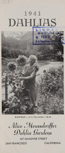 Dahlias, 1941