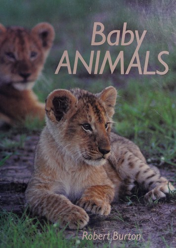 Baby Animals