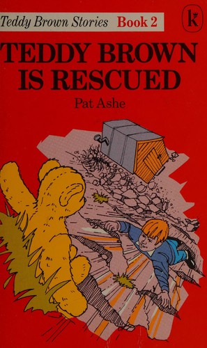 Teddy Brown Gets New Insides (Teddy Brown Stories)