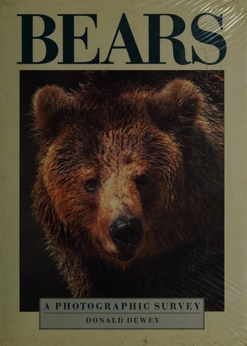 Bears