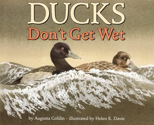 Ducks don't get wet