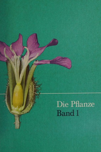 Die Pflanze