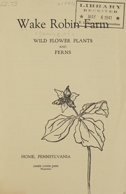 Wild flower plants and ferns