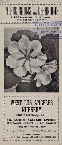 Pelargoniums and geraniums