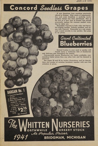 Worthwhile nursery stock at popular prices, 1941