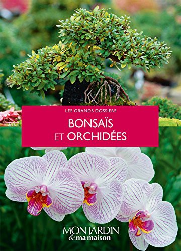 Bonsaïs et orchidées