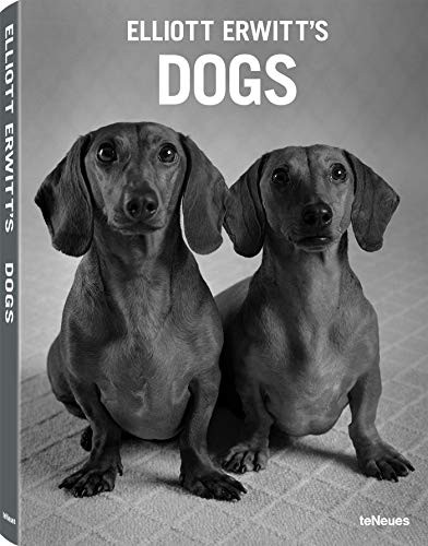 Elliott Erwitt's Dogs