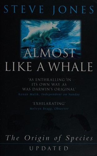 Almost like a whale