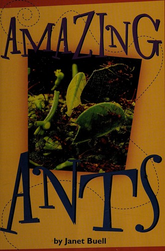 Amazing ants