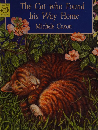 The cat who found his way home