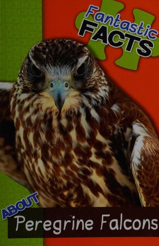 Fantastic facts about Peregrine falcons