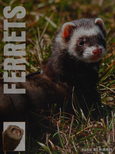 Ferrets