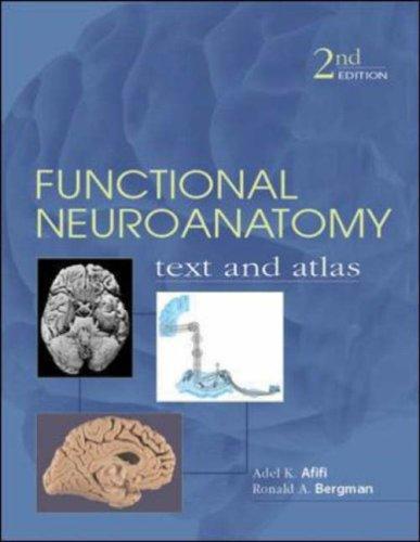Functional neuroanatomy