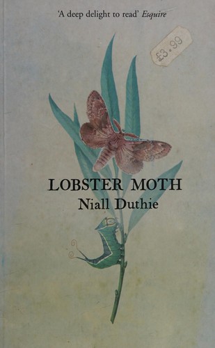 Lobster moth