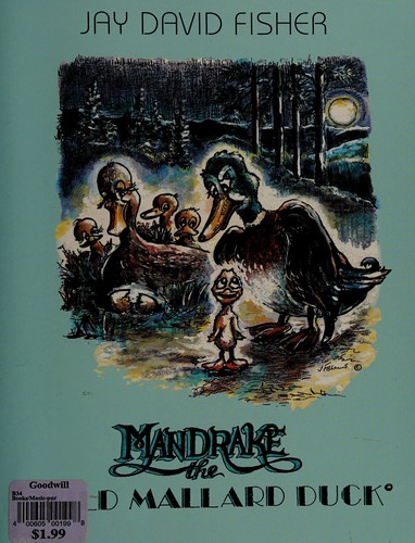 Mandrake the wild mallard duck