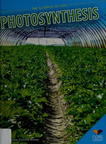 Photosynthesis
