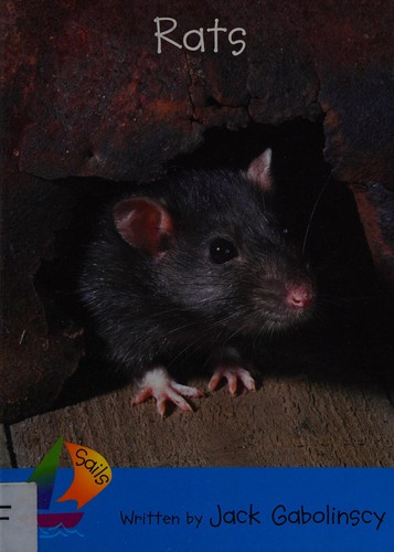 Rats
