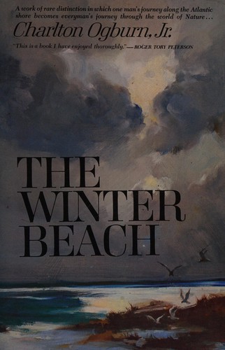 The winter beach