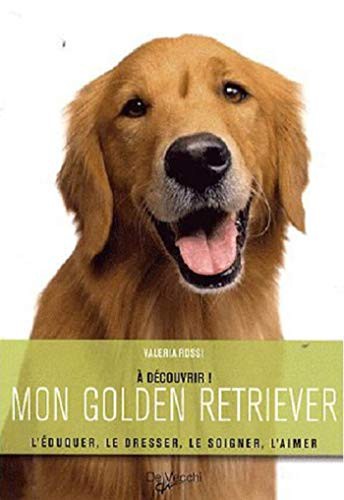 MON GOLDEN RETRIEVER