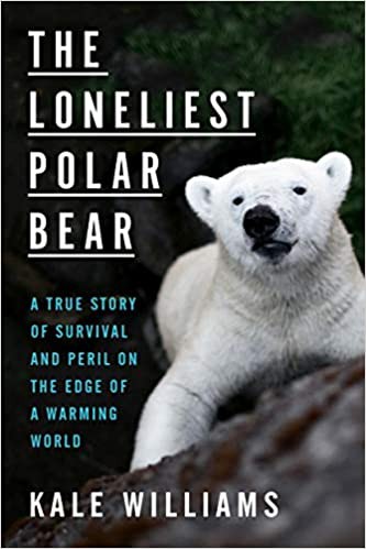 Loneliest Polar Bear