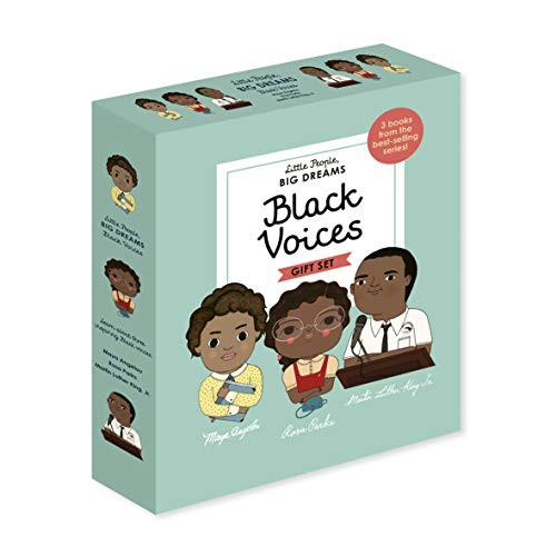 Little People, BIG DREAMS : Black Voices