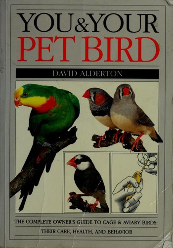 You & your pet bird