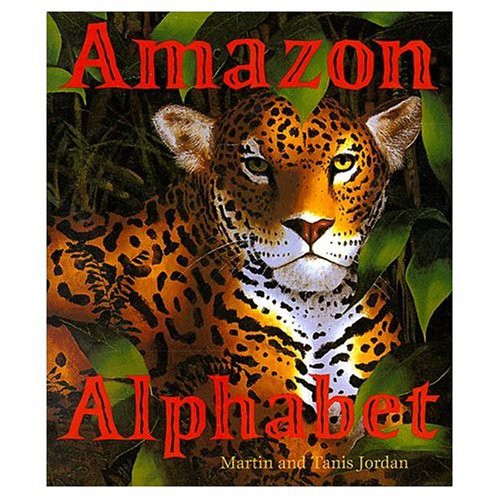amazon alphabet