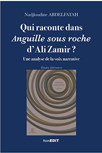 Qui raconte dans Anguille sous roche d'Ali Zamir ?