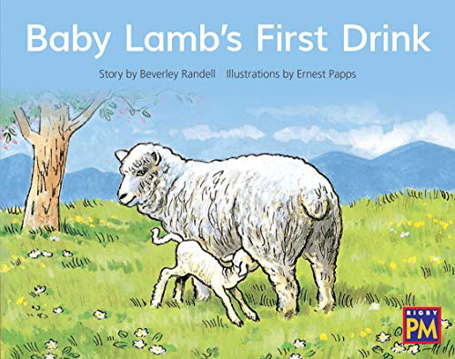 Baby Lamb's First Drink