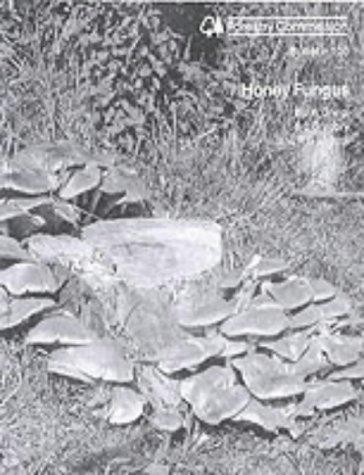 Honey Fungus (Bulletin)