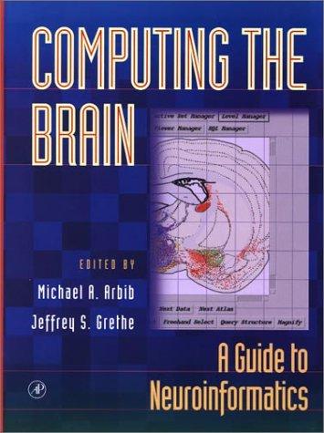 Computing the brain