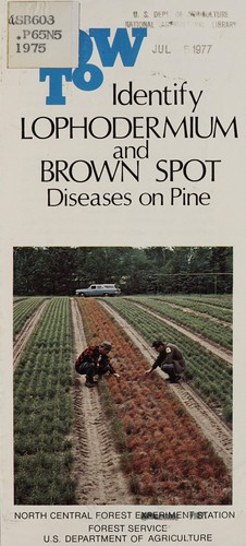 How to identify Lophodermium and brown spot diseases on pine