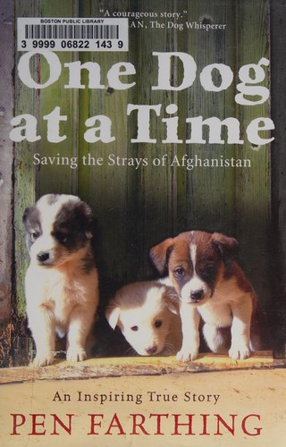 One dog at a time