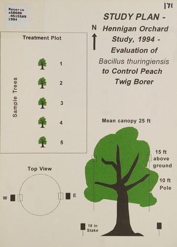 Study plan, Hennigan Orchard Study, 1994