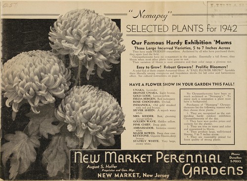 "Nemapeg" selected plants for 1942