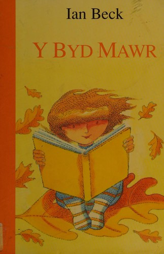 Y byd mawr