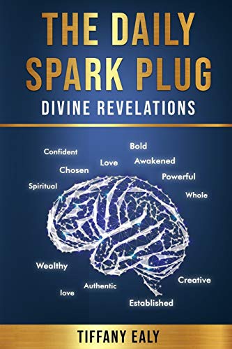 The Daily Spark Plug