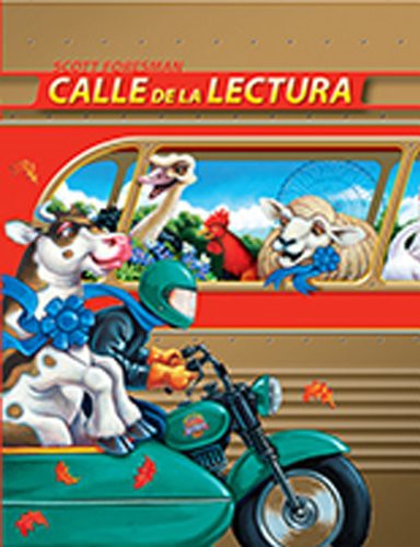 READING 2011 SPANISH ENVISION IT! PICTURE VOCABULARY CARDS GRADE 5