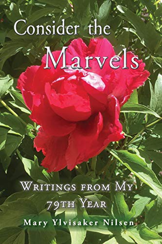 Consider the Marvels