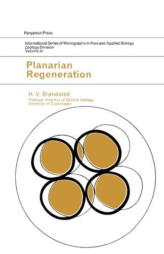 Planarian Regeneration : International Series of Monographs in Pure and Applied Biology
