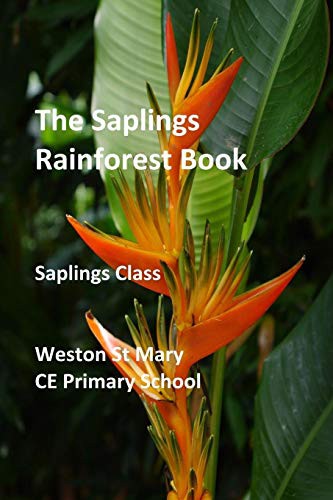 The Saplings Rainforest Book