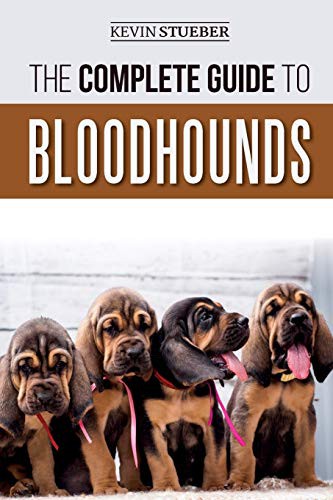 The Complete Guide to Bloodhounds