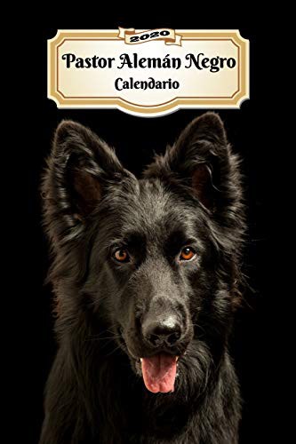 2020 Pastor Alemán Negro Calendario